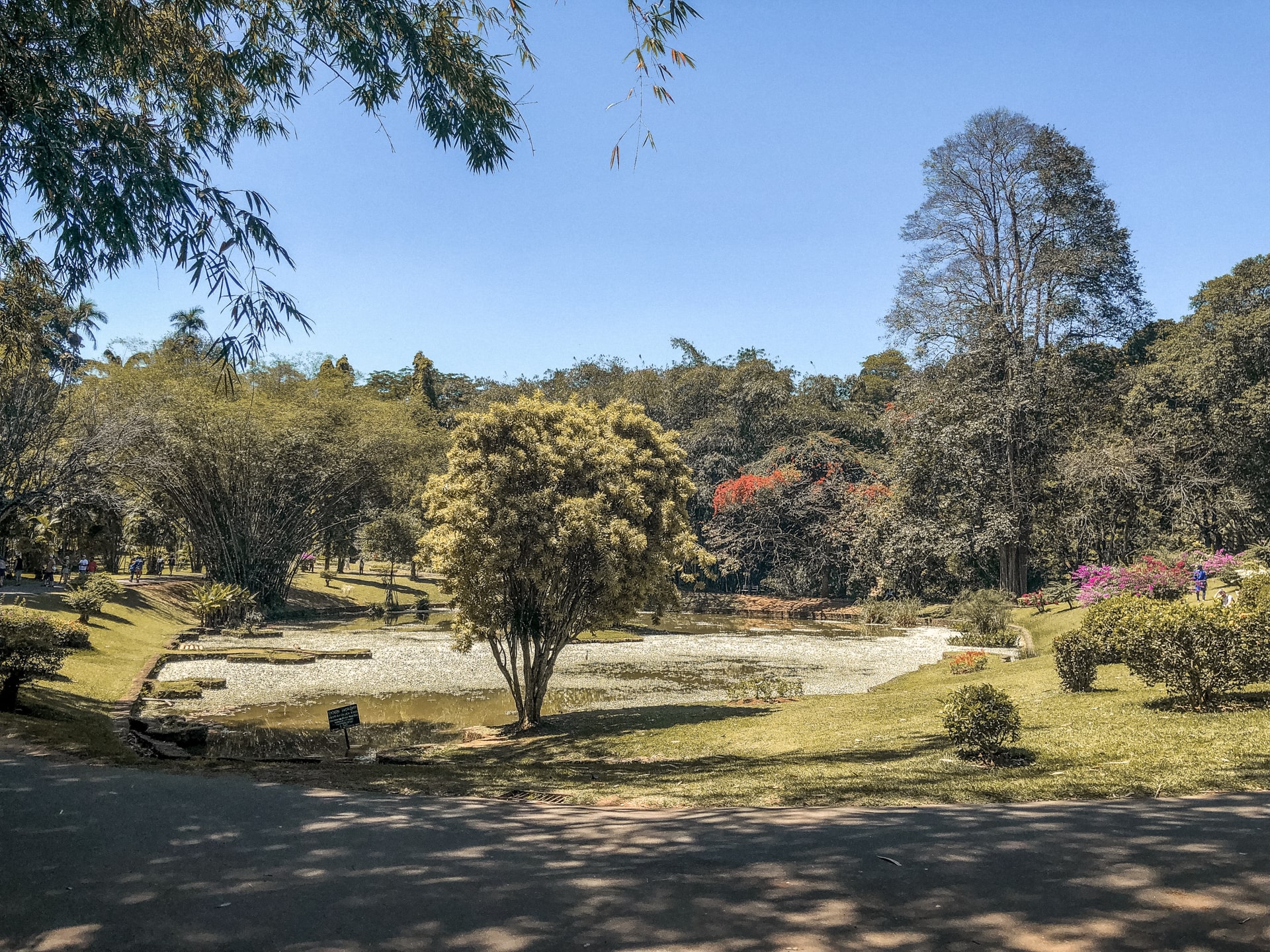 Royal Botanical Gardens in Kandy