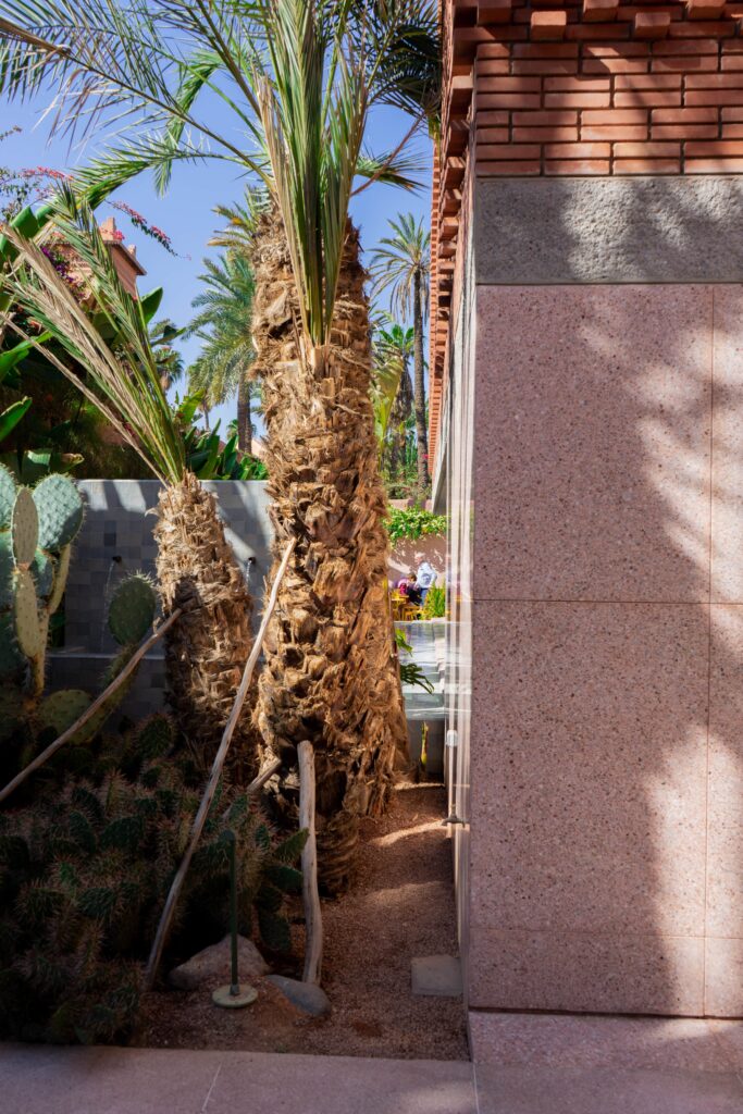 Palmtrees Yves Saint Laurent Museum