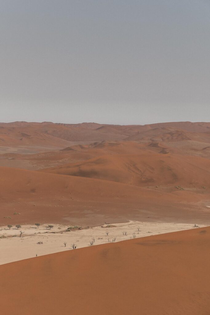 Looking at Deadvlei from Big Daddy
