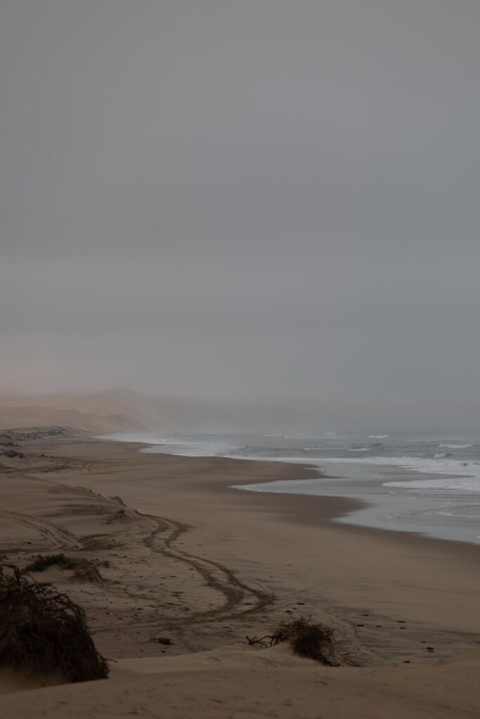 Sand dunes meet ocean