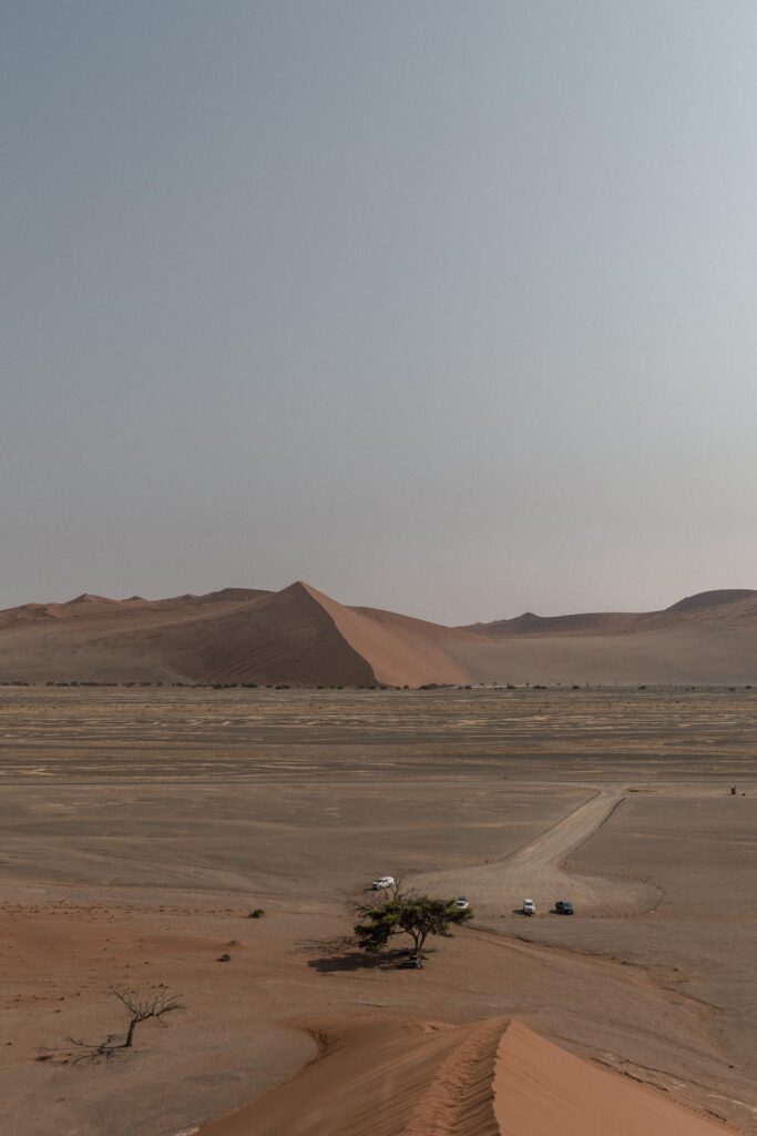 View Dune 45