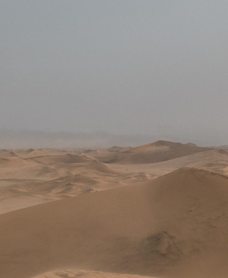 View Dune 7