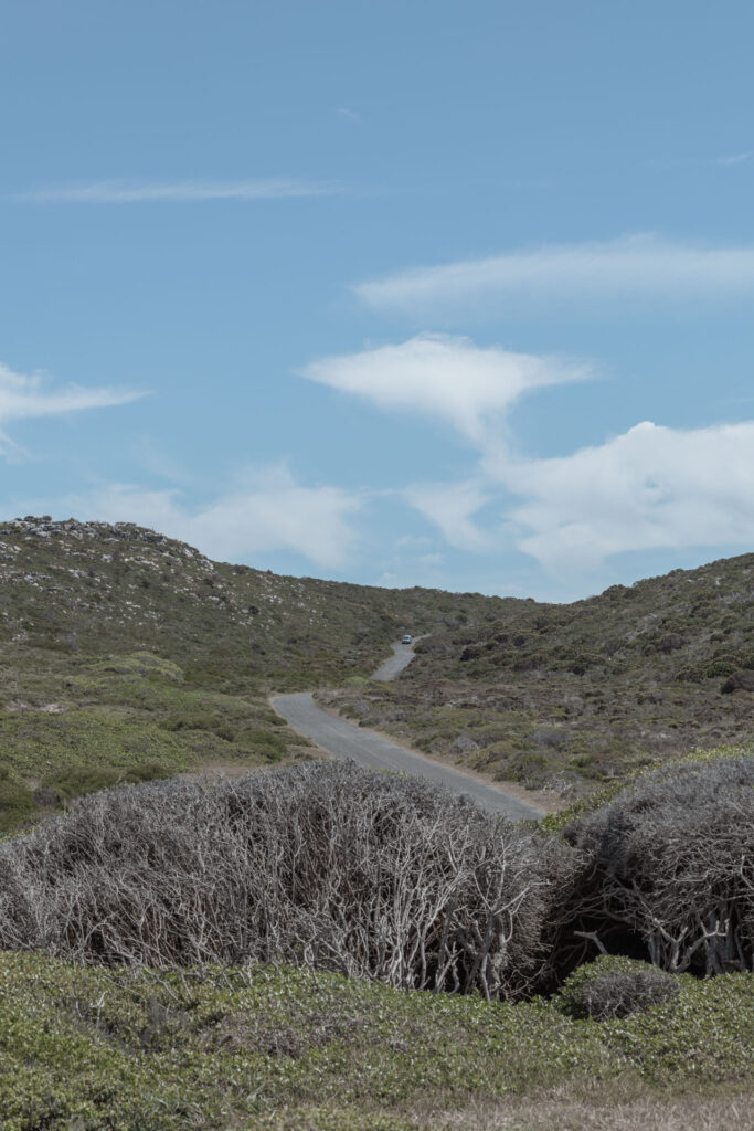 Road in Cape Point Reserve