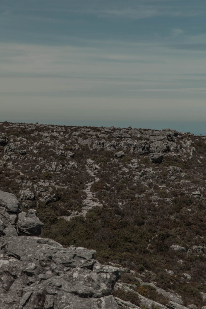 Rocks and vegetation Table Mountain